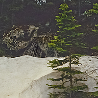 Click for larger view!